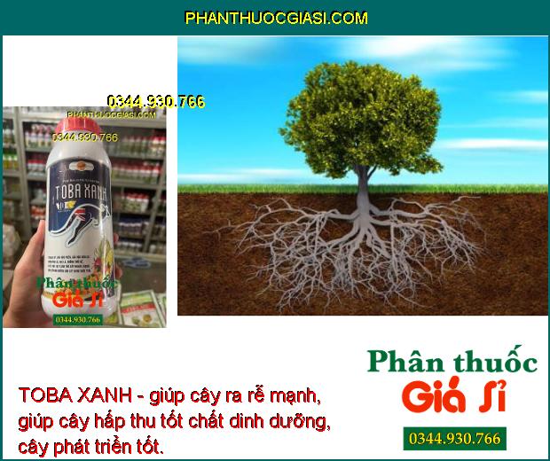 TOBA XANH- Giải Độc Phèn - Ra Rễ Mạnh - Tăng Đề Kháng