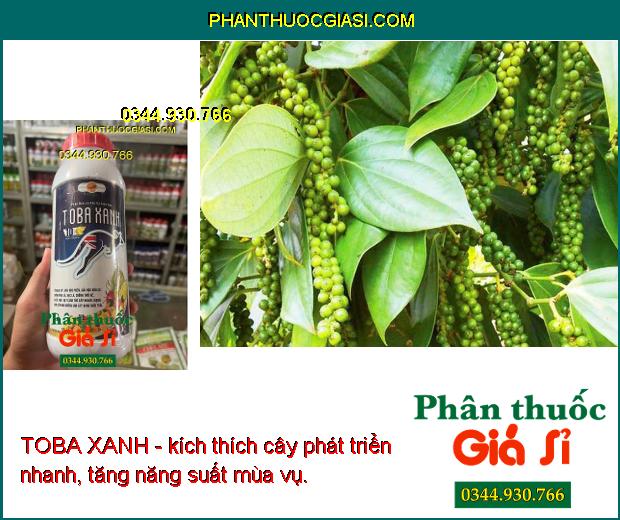 TOBA XANH- Giải Độc Phèn - Ra Rễ Mạnh - Tăng Đề Kháng