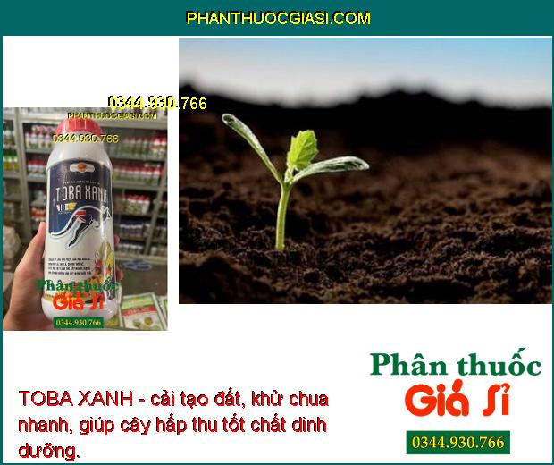 TOBA XANH- Giải Độc Phèn - Ra Rễ Mạnh - Tăng Đề Kháng