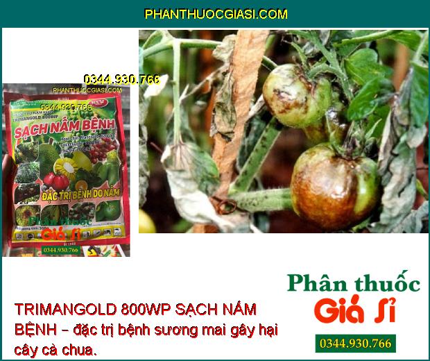 TRIMANGOLD 800WP SẠCH NẤM BỆNH – ĐẶC TRỊ BỆNH DO NẤM GÂY HẠI CÂY TRỒNG 