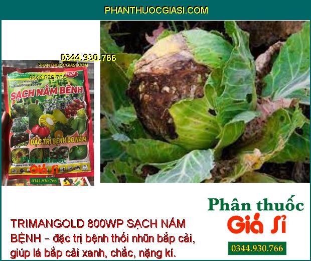 TRIMANGOLD 800WP SẠCH NẤM BỆNH – ĐẶC TRỊ BỆNH DO NẤM GÂY HẠI CÂY TRỒNG 