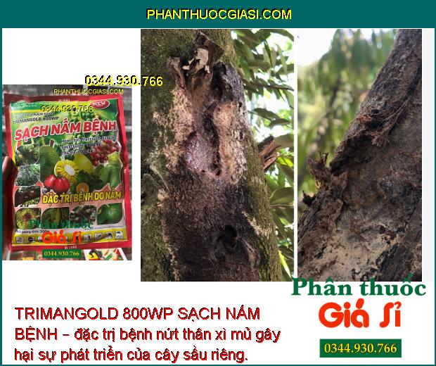 TRIMANGOLD 800WP SẠCH NẤM BỆNH – ĐẶC TRỊ BỆNH DO NẤM GÂY HẠI CÂY TRỒNG 