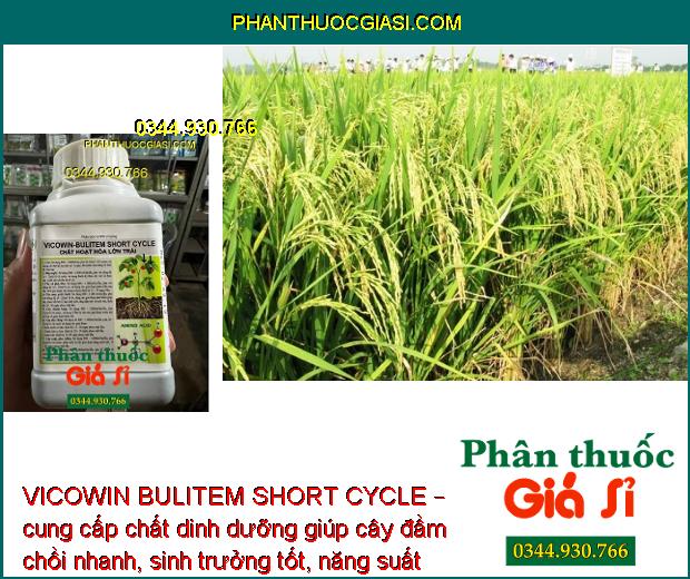 VICOWIN BULITEM SHORT CYCLE – Kích Thích Đâm Chồi - Ngăn Ngừa Thối Trái - Nứt Trái