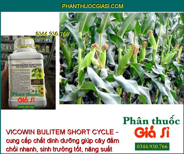 VICOWIN BULITEM SHORT CYCLE – Kích Thích Đâm Chồi - Ngăn Ngừa Thối Trái - Nứt Trái