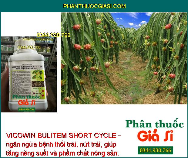 VICOWIN BULITEM SHORT CYCLE – Kích Thích Đâm Chồi - Ngăn Ngừa Thối Trái - Nứt Trái