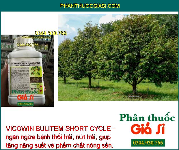 VICOWIN BULITEM SHORT CYCLE – Kích Thích Đâm Chồi - Ngăn Ngừa Thối Trái - Nứt Trái