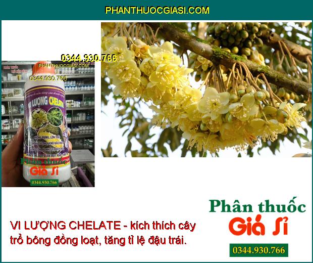 VI LƯỢNG CHELATE- Chống Rụng- Lớn Trái- Chống Sượng- Khô Đầu Múi- Vàng Cơm.