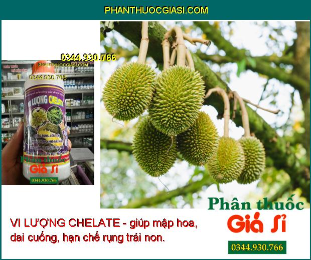 VI LƯỢNG CHELATE- Chống Rụng- Lớn Trái- Chống Sượng- Khô Đầu Múi- Vàng Cơm.