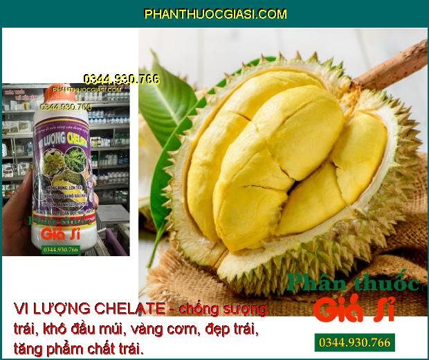 VI LƯỢNG CHELATE- Chống Rụng- Lớn Trái- Chống Sượng- Khô Đầu Múi- Vàng Cơm.