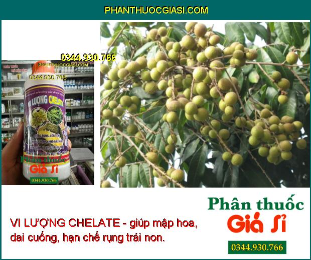 VI LƯỢNG CHELATE- Chống Rụng- Lớn Trái- Chống Sượng- Khô Đầu Múi- Vàng Cơm.