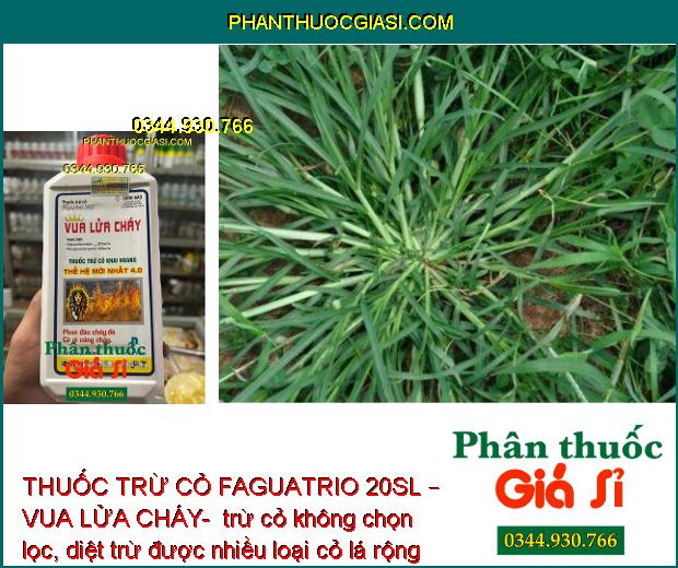 THUỐC TRỪ CỎ FAGUATRIO 20SL – VUA LỬA CHÁY- DIỆT CỎ MẦN TRẦU – CỎ ỐNG – CỎ CHỈ – THÀI LÀI – CỎ TRANH 