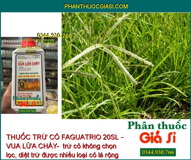 THUỐC TRỪ CỎ FAGUATRIO 20SL – VUA LỬA CHÁY- DIỆT CỎ MẦN TRẦU – CỎ ỐNG – CỎ CHỈ – THÀI LÀI – CỎ TRANH 