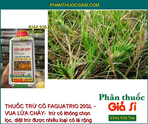 THUỐC TRỪ CỎ FAGUATRIO 20SL – VUA LỬA CHÁY- DIỆT CỎ MẦN TRẦU – CỎ ỐNG – CỎ CHỈ – THÀI LÀI – CỎ TRANH 