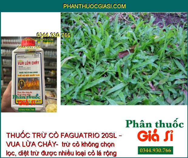 THUỐC TRỪ CỎ FAGUATRIO 20SL – VUA LỬA CHÁY- DIỆT CỎ MẦN TRẦU – CỎ ỐNG – CỎ CHỈ – THÀI LÀI – CỎ TRANH 