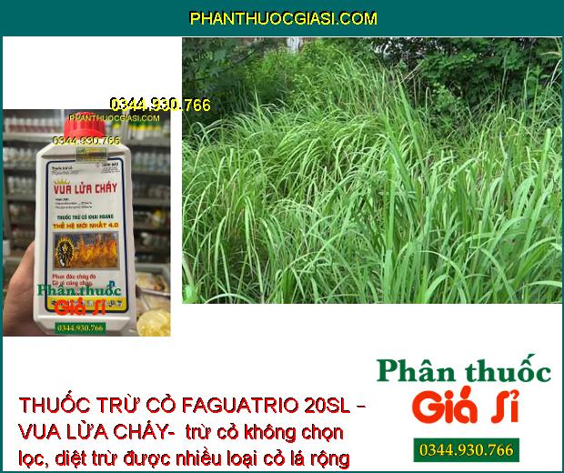 THUỐC TRỪ CỎ FAGUATRIO 20SL – VUA LỬA CHÁY- DIỆT CỎ MẦN TRẦU – CỎ ỐNG – CỎ CHỈ – THÀI LÀI – CỎ TRANH 