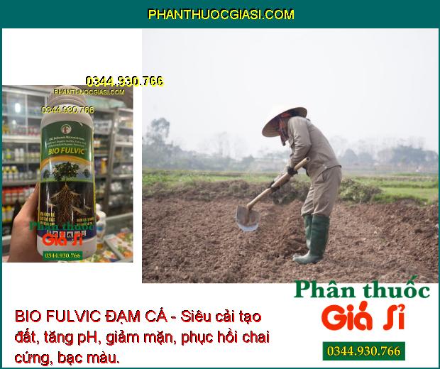 BIO FULVIC ĐẠM CÁ- Tái Tạo Bộ Rễ - Cải Tạo Đất - Tăng Ra Hoa Đậu Trái