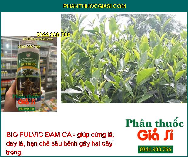 BIO FULVIC ĐẠM CÁ- Tái Tạo Bộ Rễ - Cải Tạo Đất - Tăng Ra Hoa Đậu Trái