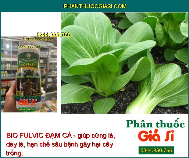 BIO FULVIC ĐẠM CÁ- Tái Tạo Bộ Rễ - Cải Tạo Đất - Tăng Ra Hoa Đậu Trái