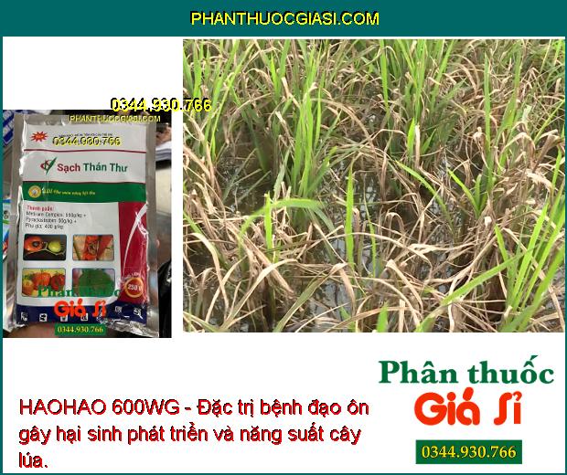 HAOHAO 600WG - Đặc Trị Thán Thư - Đạo Ôn - Sương Mai - Rỉ Sắt