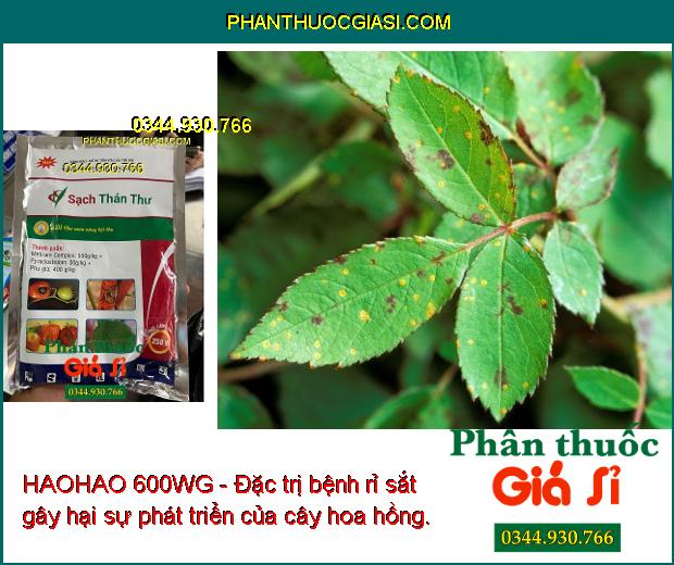 HAOHAO 600WG - Đặc Trị Thán Thư - Đạo Ôn - Sương Mai - Rỉ Sắt