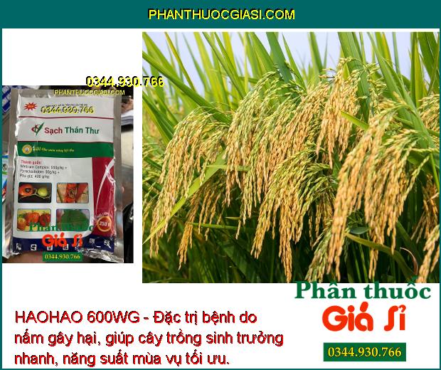 HAOHAO 600WG - Đặc Trị Thán Thư - Đạo Ôn - Sương Mai - Rỉ Sắt