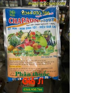 CHAPAON 770WP- Đặc Trị Sẹo Loét - Thối Nhũn - Sương Mai