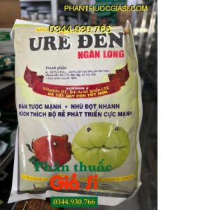 URE ĐEN NGÂN LONG – Kích Rễ Phát Triển - Nhú Đọt Mạnh