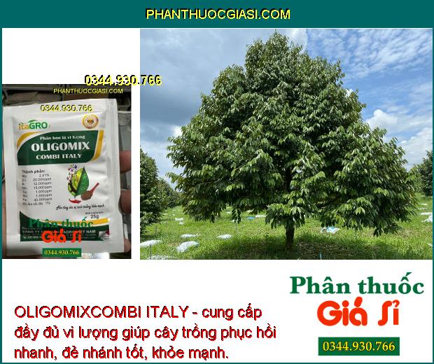 OLIGOMIXCOMBI ITALY- Bổ Sung Vi Lượng Chống Vàng Lá - Hoa Trổ Đồng Loạt - Tăng Đậu Trái