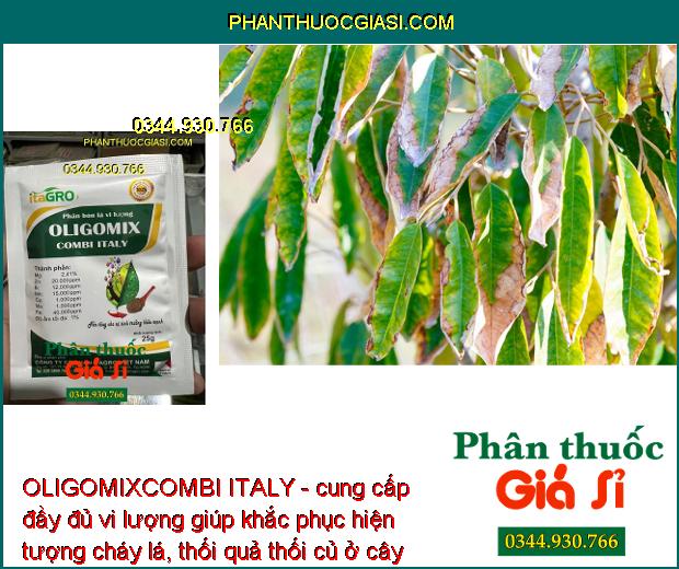 OLIGOMIXCOMBI ITALY- Bổ Sung Vi Lượng Chống Vàng Lá - Hoa Trổ Đồng Loạt - Tăng Đậu Trái