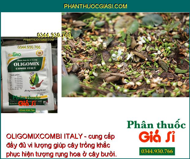 OLIGOMIXCOMBI ITALY- Bổ Sung Vi Lượng Chống Vàng Lá - Hoa Trổ Đồng Loạt - Tăng Đậu Trái