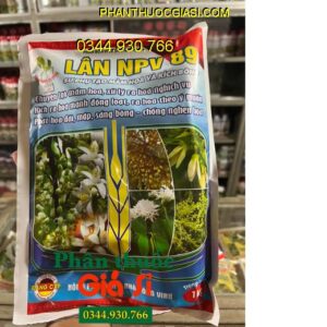 NPV 13B+ NPV LÂN 89 TẠO MẦM HOA KÍCH BÔNG – Xử Lý Ra Hoa Nghịch Vụ