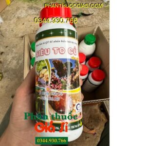 PHÂN BÓN LÁ QT 01 SIÊU TO CỦ – Củ Phì To - Chắc Củ - Nhiều Tinh Bột