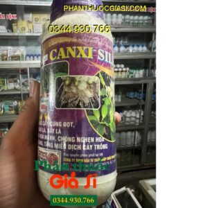 CANXI SILIC TDSG 11 PHÂN BÓN RỄ - Ra Rễ Mạnh - Cứng Cây - Thẳng Đọt Non - Tăng Đề Kháng