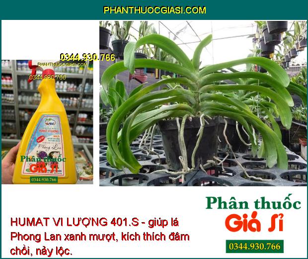 HUMAT VI LƯỢNG 401.S - Phân Bón Đa Vi Lượng Cao Cấp Phun Trực Tiếp Trên Lá