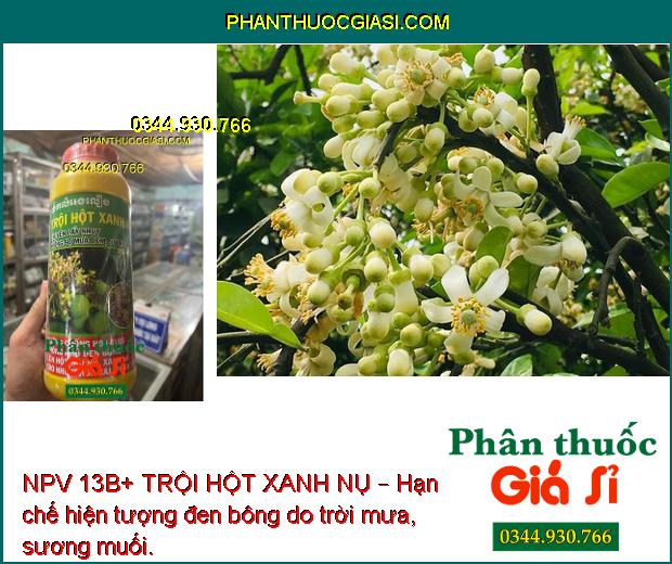 NPV 13B+ TRỘI HỘT XANH NỤ – Tạo Nhiều Hoa - Hạn Chế Đen Bông - Rụng Hoa - Trái Non