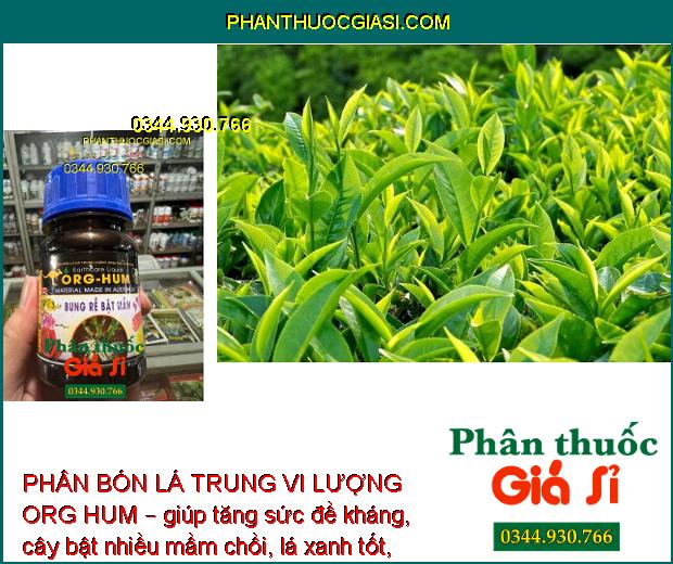 PHÂN BÓN LÁ TRUNG VI LƯỢNG ORG HUM – RA RỄ MẠNH - BẬT NHIỀU MẦM - PHỤC HỒI CÂY