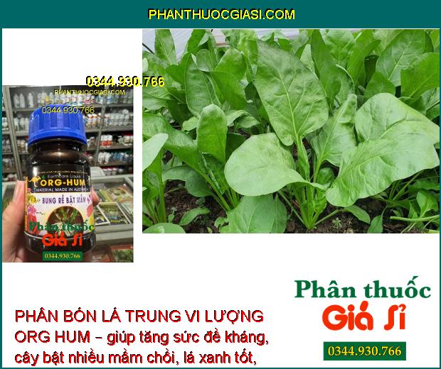 PHÂN BÓN LÁ TRUNG VI LƯỢNG ORG HUM – RA RỄ MẠNH - BẬT NHIỀU MẦM - PHỤC HỒI CÂY