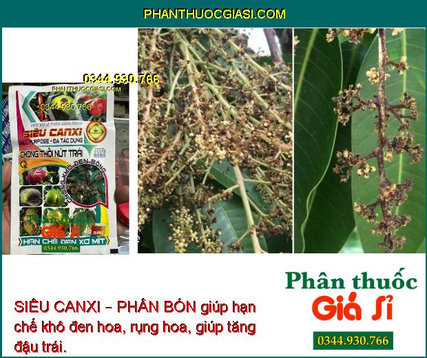 SIÊU CANXI – PHÂN BÓN LÁ CAO CẤP CHỐNG RỤNG HOA - THỐI - NỨT TRÁI CHO CÂY TRỒNG