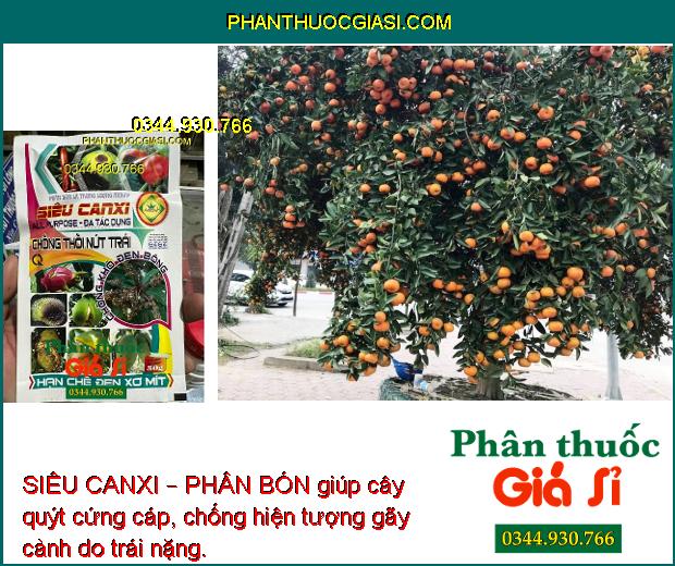 SIÊU CANXI – PHÂN BÓN LÁ CAO CẤP CHỐNG RỤNG HOA - THỐI - NỨT TRÁI CHO CÂY TRỒNG