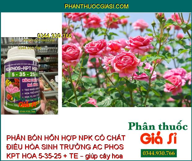 PHÂN BÓN HỖN HỢP NPK CÓ CHẤT ĐIỀU HÒA SINH TRƯỞNG AC PHOS KPT HOA 5-35-25 + TE – TẠO NHIỀU MẦM HOA – TĂNG ĐẬU TRÁI