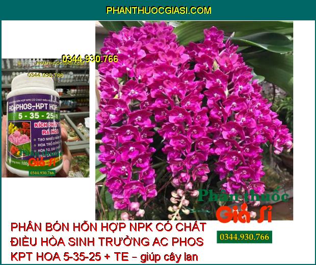 PHÂN BÓN HỖN HỢP NPK CÓ CHẤT ĐIỀU HÒA SINH TRƯỞNG AC PHOS KPT HOA 5-35-25 + TE – TẠO NHIỀU MẦM HOA – TĂNG ĐẬU TRÁI