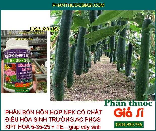 PHÂN BÓN HỖN HỢP NPK CÓ CHẤT ĐIỀU HÒA SINH TRƯỞNG AC PHOS KPT HOA 5-35-25 + TE – TẠO NHIỀU MẦM HOA – TĂNG ĐẬU TRÁI