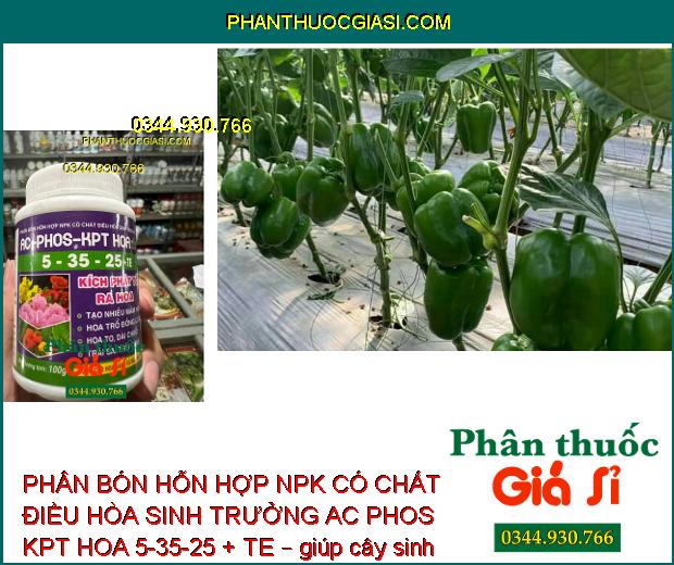 PHÂN BÓN HỖN HỢP NPK CÓ CHẤT ĐIỀU HÒA SINH TRƯỞNG AC PHOS KPT HOA 5-35-25 + TE – TẠO NHIỀU MẦM HOA – TĂNG ĐẬU TRÁI