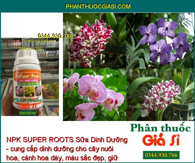 NPK SUPER ROOTS Sữa Dinh Dưỡng - Mập Thân - Dày Lá - To Hoa