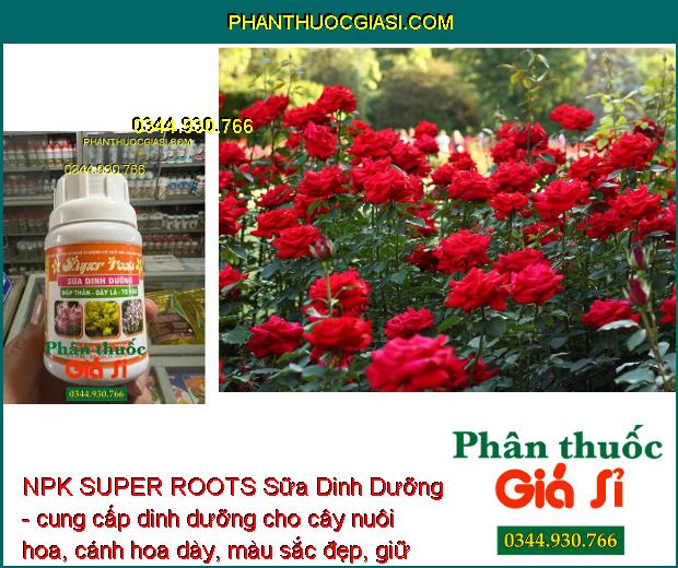 NPK SUPER ROOTS Sữa Dinh Dưỡng - Mập Thân - Dày Lá - To Hoa