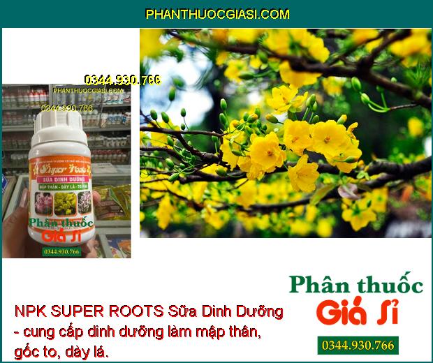 NPK SUPER ROOTS Sữa Dinh Dưỡng - Mập Thân - Dày Lá - To Hoa