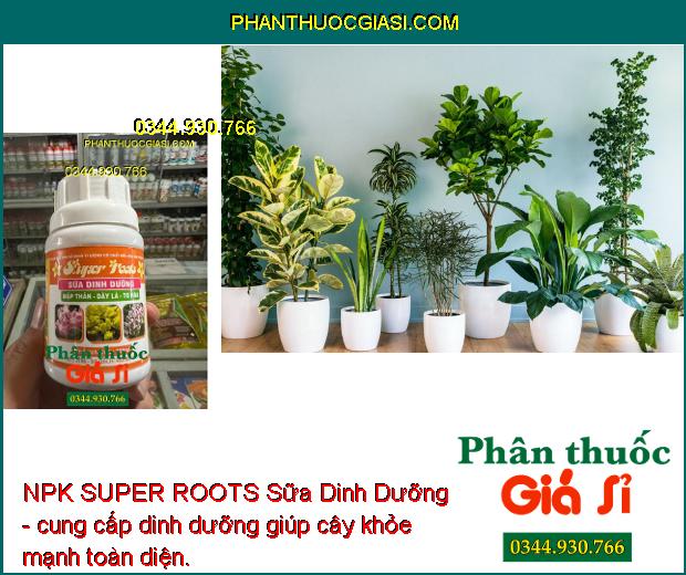 NPK SUPER ROOTS Sữa Dinh Dưỡng - Mập Thân - Dày Lá - To Hoa