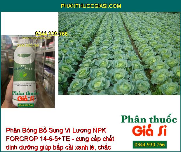 Phân Bóng Bổ Sung Vi Lượng NPK FORCROP 14-6-5+TE - Mập Đọt - Thúc Lớn Trái - To Củ - Nặng Ký