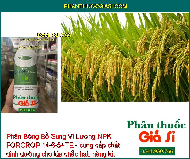 Phân Bóng Bổ Sung Vi Lượng NPK FORCROP 14-6-5+TE - Mập Đọt - Thúc Lớn Trái - To Củ - Nặng Ký