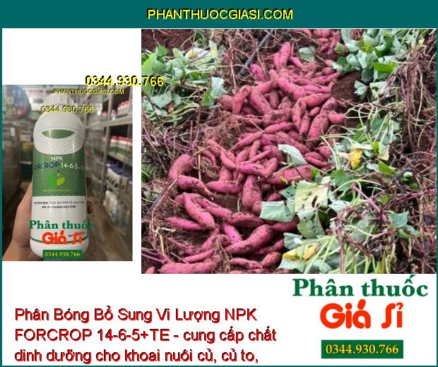 Phân Bóng Bổ Sung Vi Lượng NPK FORCROP 14-6-5+TE - Mập Đọt - Thúc Lớn Trái - To Củ - Nặng Ký